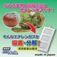 画像をギャラリービューアに読み込む, 後藤 ココスフレッシュ業務用 870323 管理No. 4964934835397