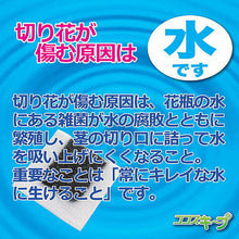 画像をギャラリービューアに読み込む, 後藤 生け花イキイキ ココスキープ(12個入) 870329 管理No. 4964934835458