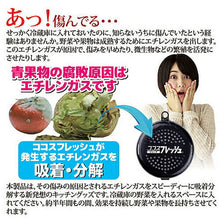 画像をギャラリービューアに読み込む, 後藤 ココスフレッシュ ジュニア 870374 管理No. 4964934835793