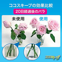 画像をギャラリービューアに読み込む, 後藤 生け花イキイキ ココスキープ(12個入) 870329 管理No. 4964934835458