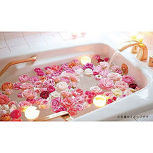 画像をギャラリービューアに読み込む, ノルコーポレーション シャン・ド・OBEGN0302 管理No. 4535304081647