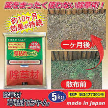 画像をギャラリービューアに読み込む, 旭東 除草材「草枯れちゃん」5kg 801544 管理No. 4936980520695