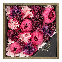 画像をギャラリービューアに読み込む, ノルコーポレーション シャン・ド・OBEGN0302 管理No. 4535304081647