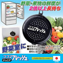 画像をギャラリービューアに読み込む, 後藤 ココスフレッシュ ジュニア 870374 管理No. 4964934835793
