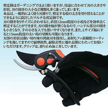 画像をギャラリービューアに読み込む, 後藤 二刀流剪定鋏 武蔵 811392 管理No. 4954438803916