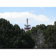 画像をギャラリービューアに読み込む, サイトロンジャパン SAFARI10-30×21/パールホワイト SAFARI30PW 管理No. 4541607100756