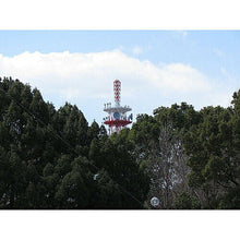 画像をギャラリービューアに読み込む, サイトロンジャパン SAFARI10-30×21/ワインレッド SAFARI30WR 管理No. 4541607100763